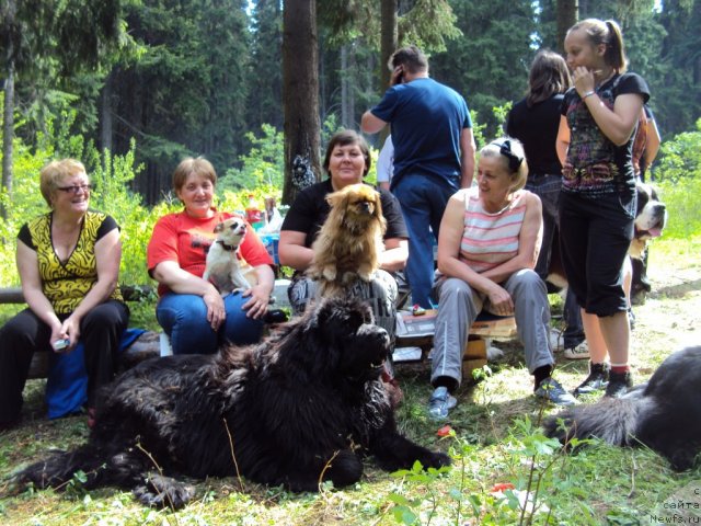 Фотография № 96309