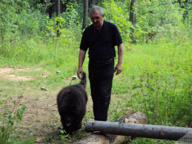 Фотография № 96313