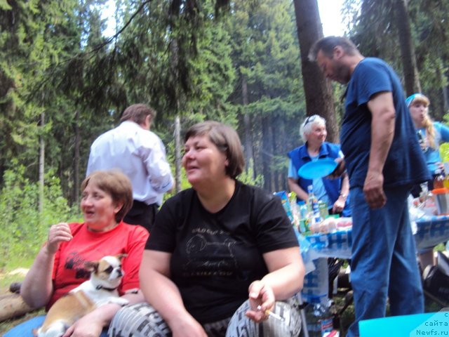 Фотография № 96315