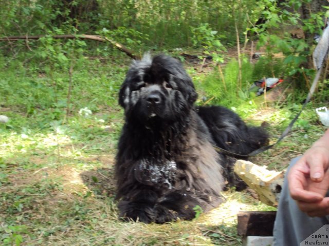 Фотография № 96324