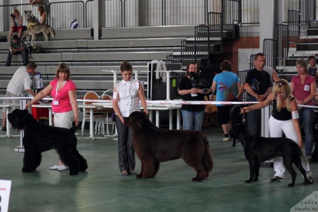 Фотография № 96347