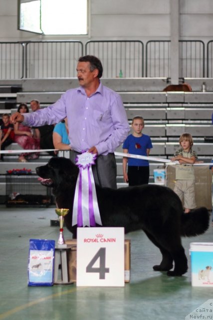 Фотография № 96348