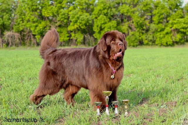 Фотография № 96350