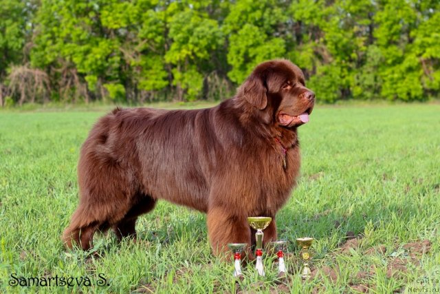 Фотография № 96351