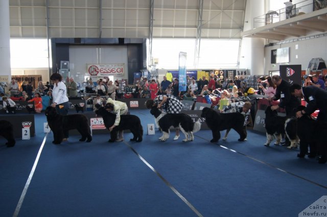 Фотография № 96388