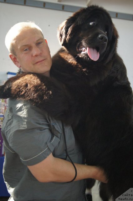 Фотография № 96389