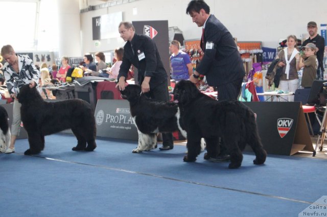 Фотография № 96390