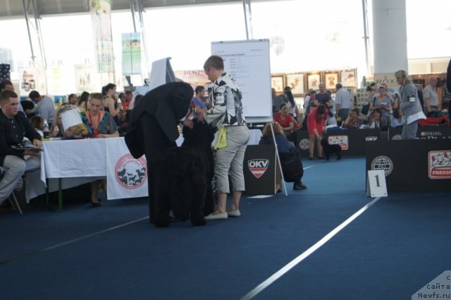 Фотография № 96394