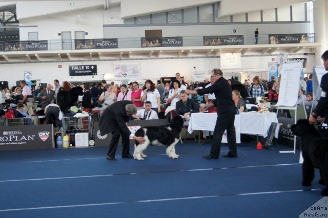 Фотография № 96395