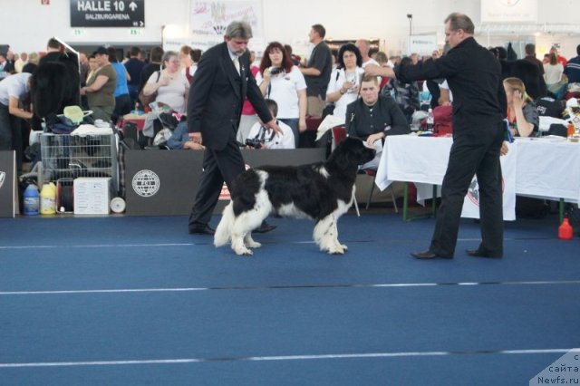 Фотография № 96396