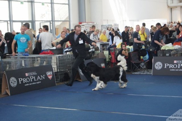 Фотография № 96397