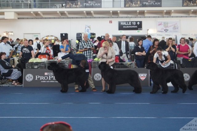 Фотография № 96402