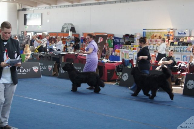 Фотография № 96406