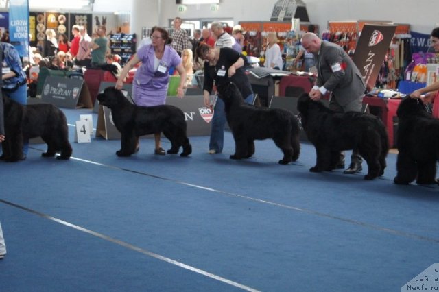 Фотография № 96407