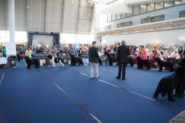 Фотография № 96408