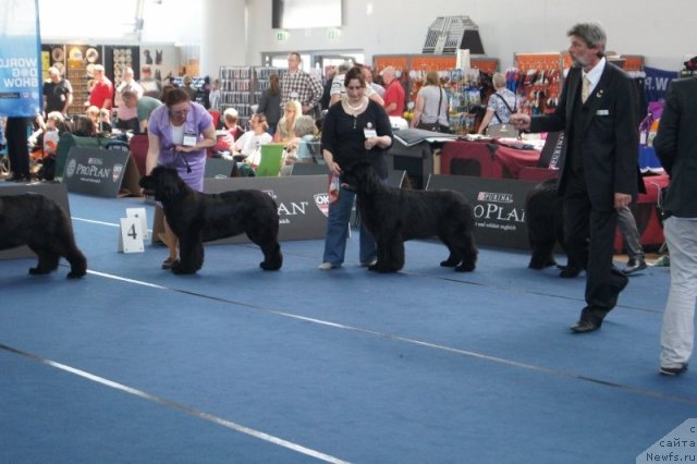 Фотография № 96409