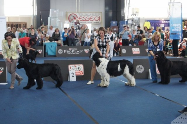 Фотография № 96410