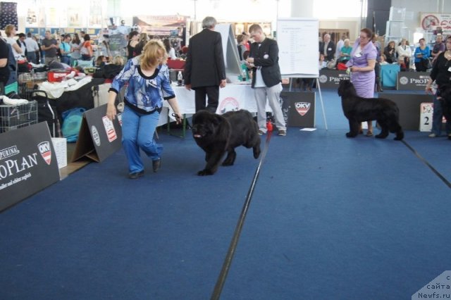 Фотография № 96413