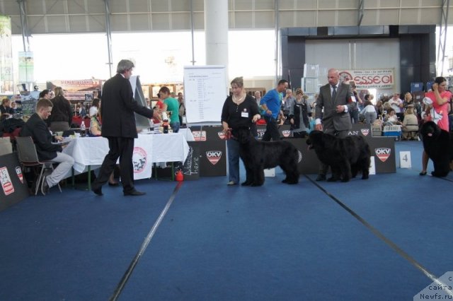 Фотография № 96423