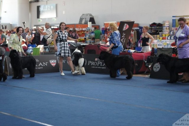 Фотография № 96427