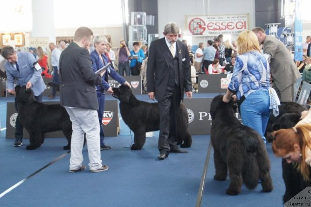 Фотография № 96429