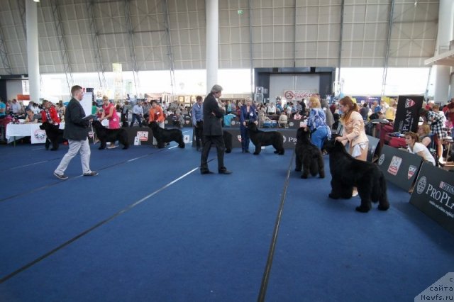 Фотография № 96430