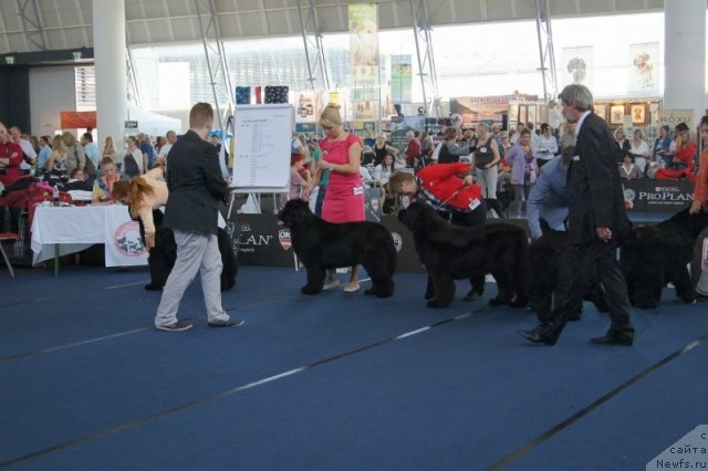 Фотография № 96431