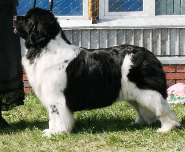 Фотография № 96433