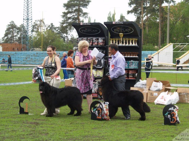 Фотография № 96459