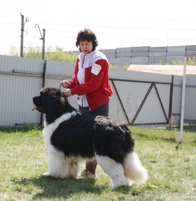 Фотография № 96465