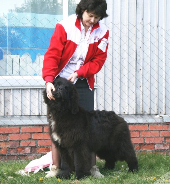 Фотография № 96466