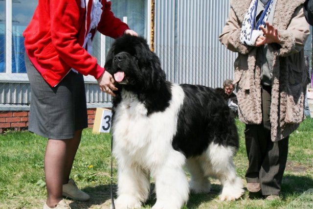 Фотография № 96469