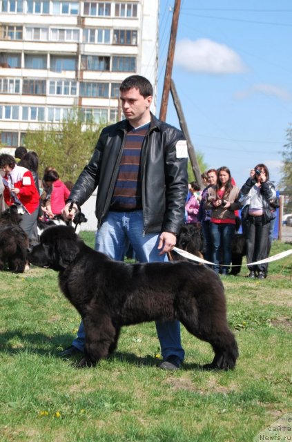 Фотография № 96470