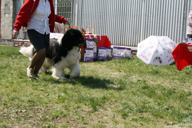 Фотография № 96471