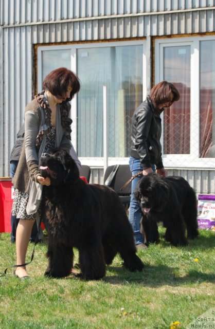 Фотография № 96474