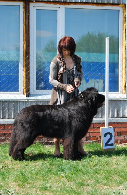 Фотография № 96477