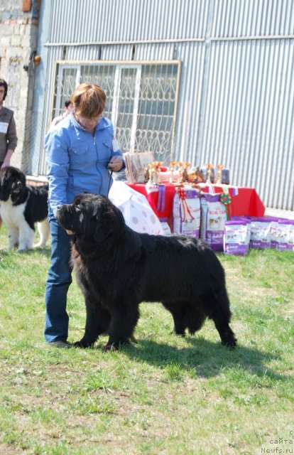 Фотография № 96478