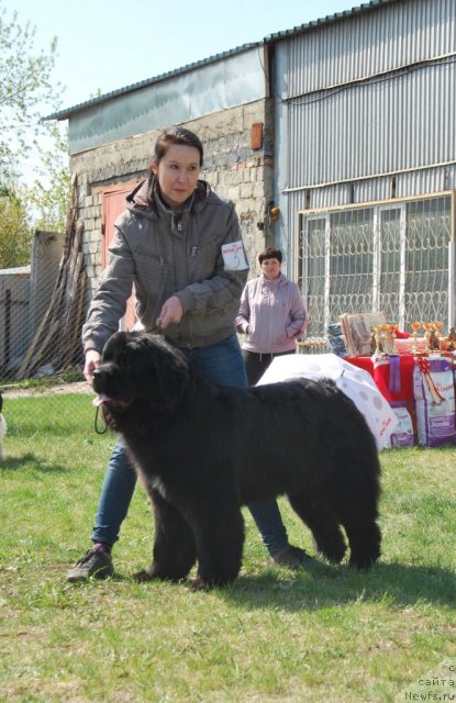 Фотография № 96479