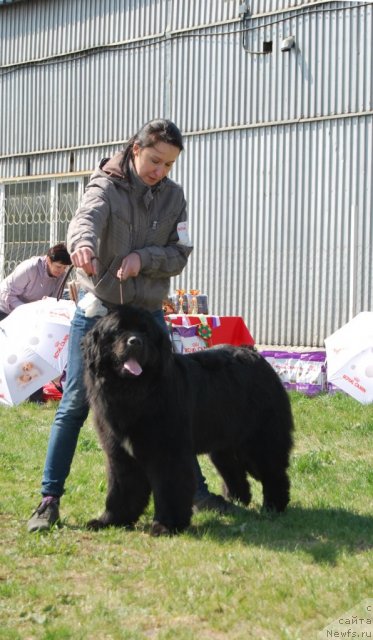 Фотография № 96480