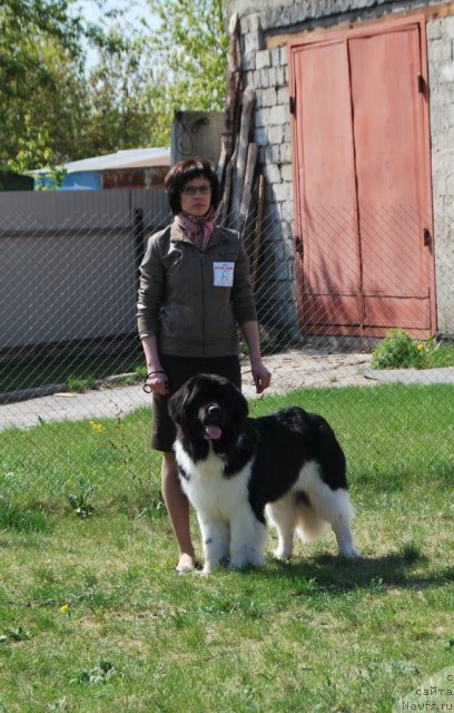 Фотография № 96483