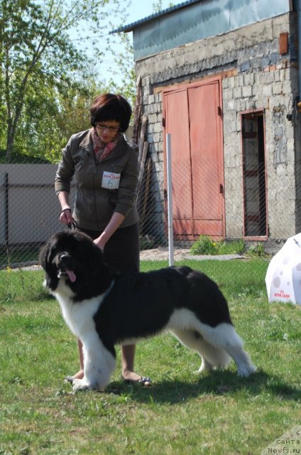 Фотография № 96484