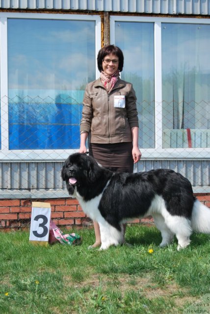 Фотография № 96485