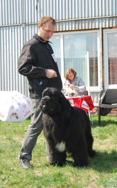 Фотография № 96489