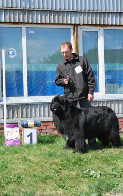 Фотография № 96490