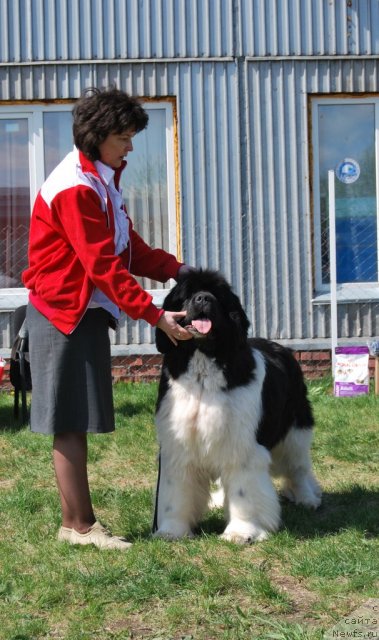 Фотография № 96494