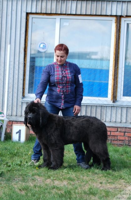 Фотография № 96496