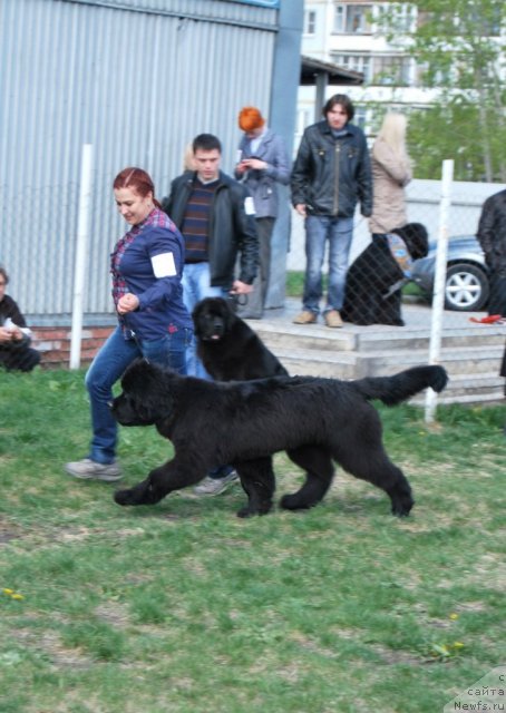 Фотография № 96497