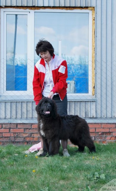 Фотография № 96498