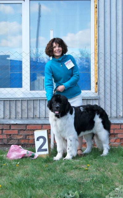 Фотография № 96502