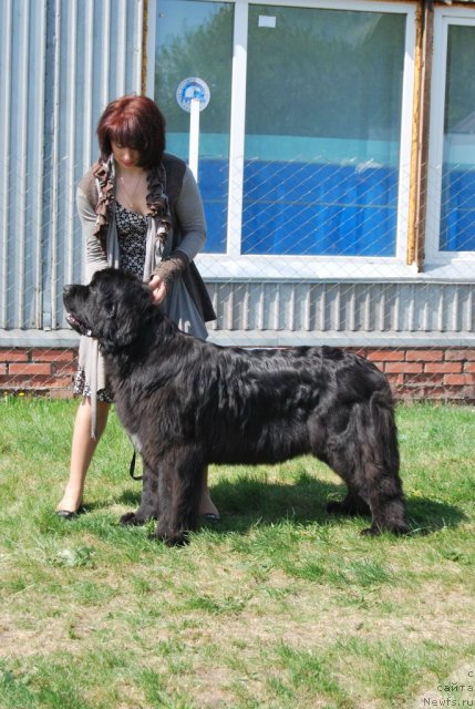 Фотография № 96504